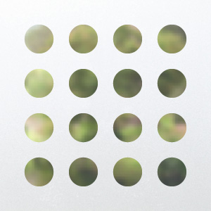 Frosted window film design C10
