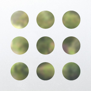 Frosted window film design C7