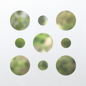 Frosted window film design C9