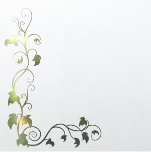 Frosted window film design D1