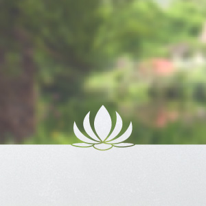 Frosted window film design N16