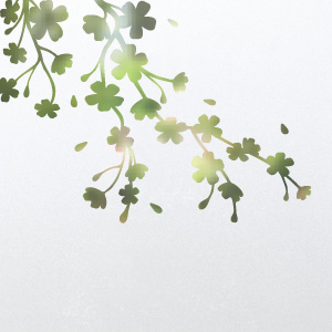 Frosted window film design N17