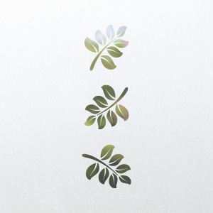 Frosted window film design N6
