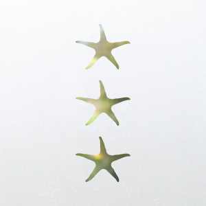 Frosted window film design N9