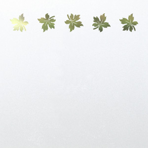 Frosted window film design S5